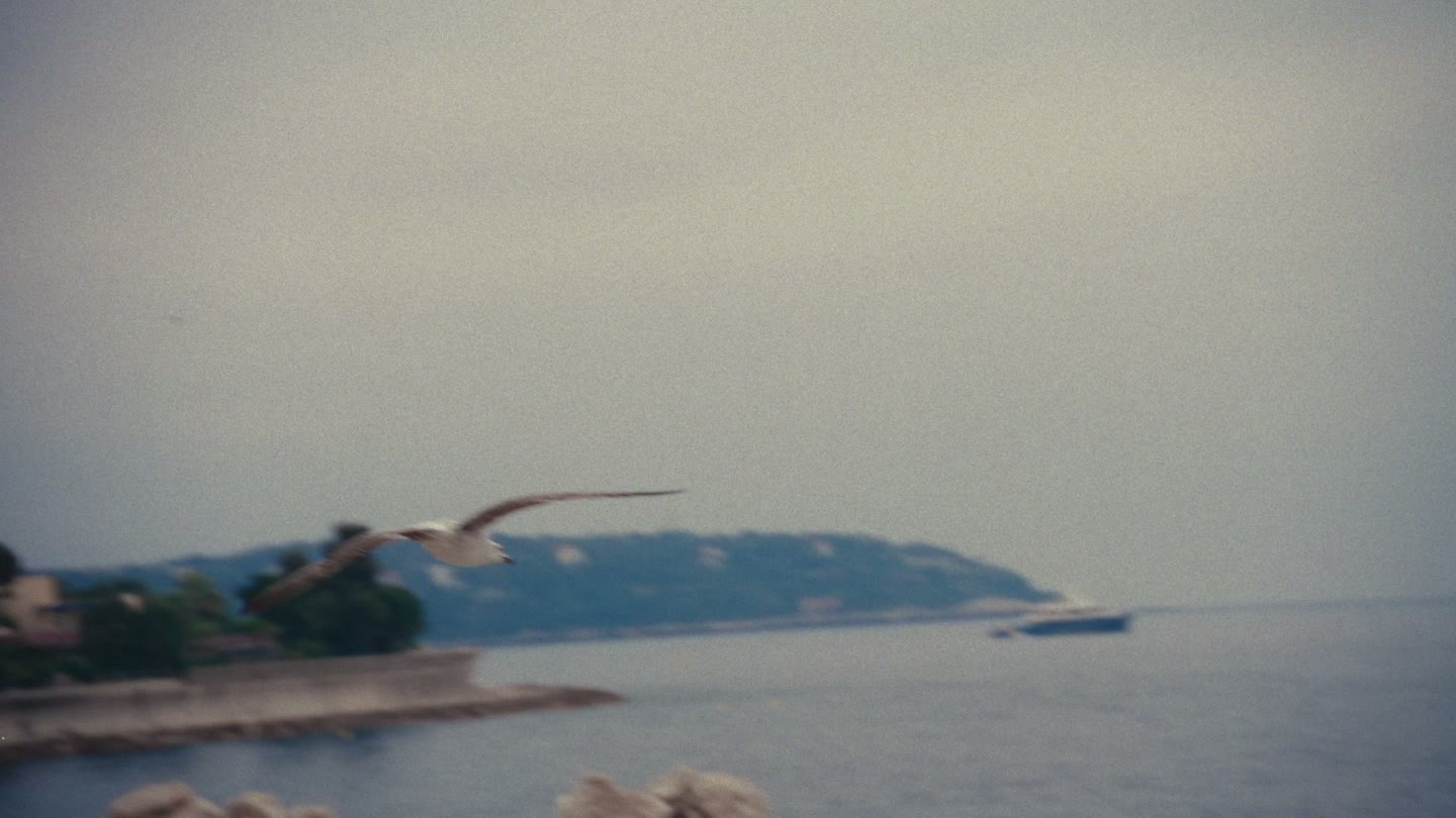 Cinema — photogramme du film