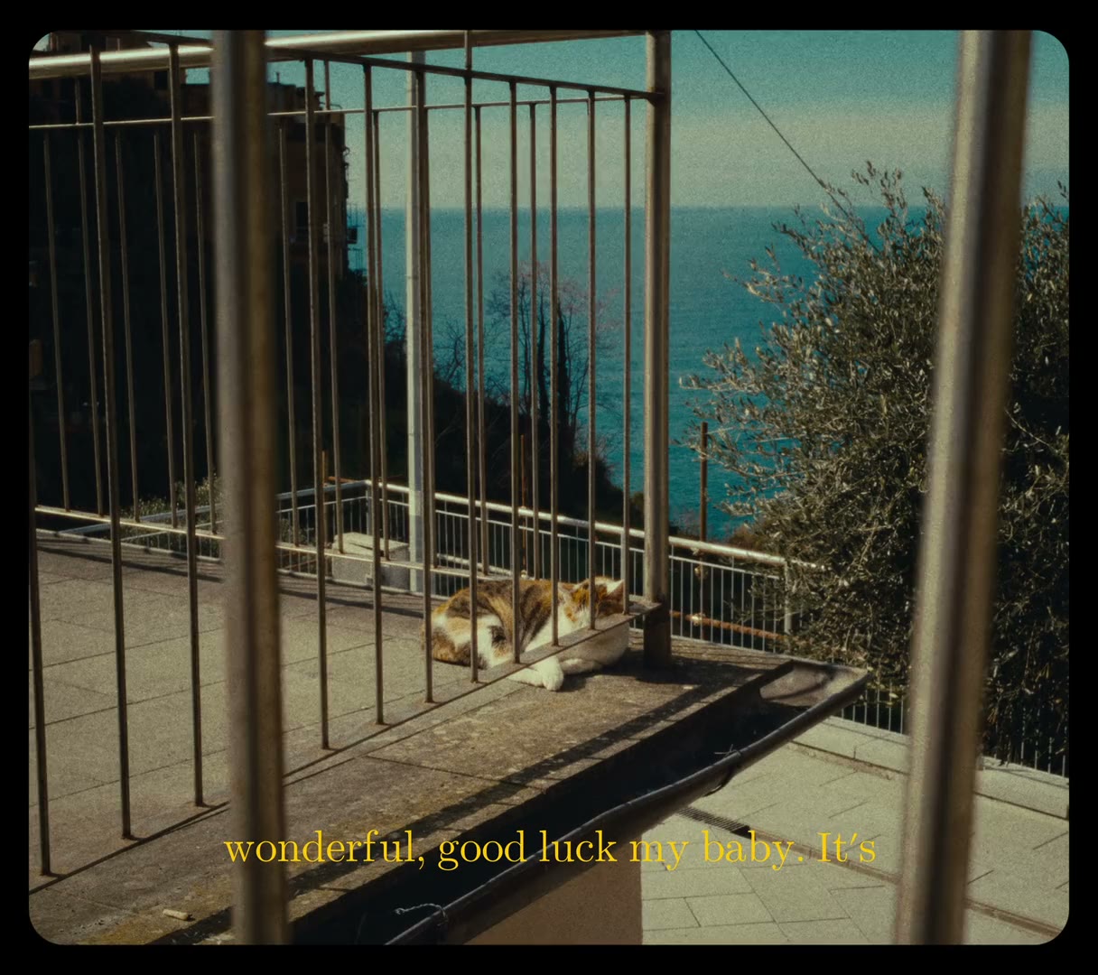 Cinque Terre — photogramme du film