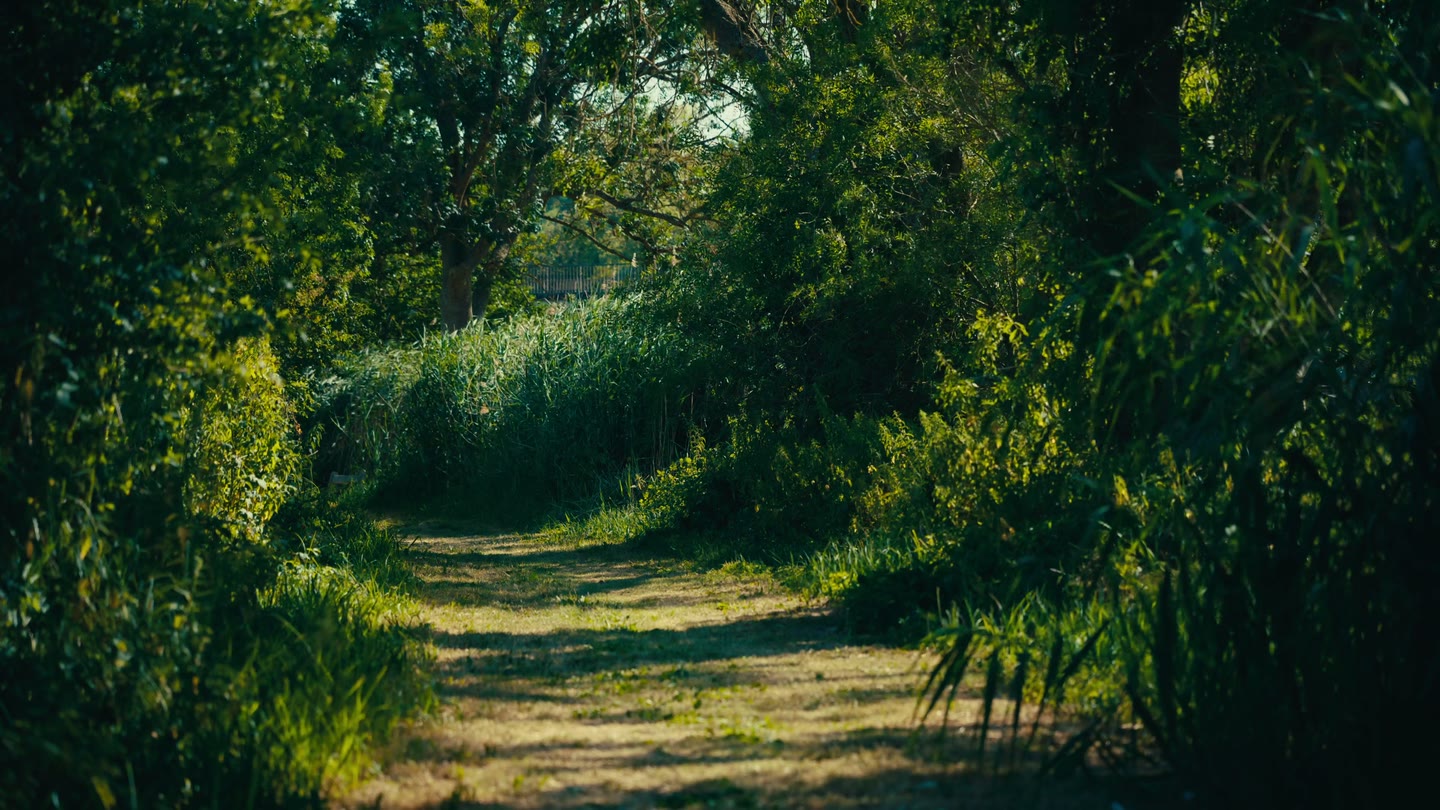 Une journée à la rivière — photogramme du film